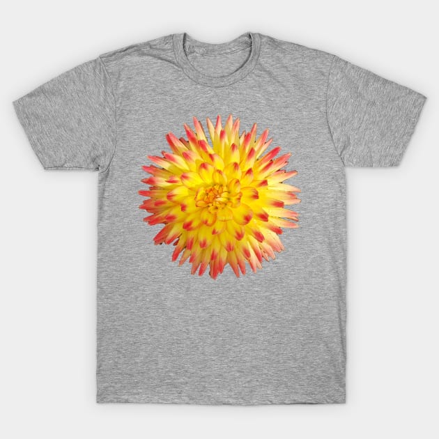 Yellow and Pink Spiky Flower Photo T-Shirt by ellenhenryart